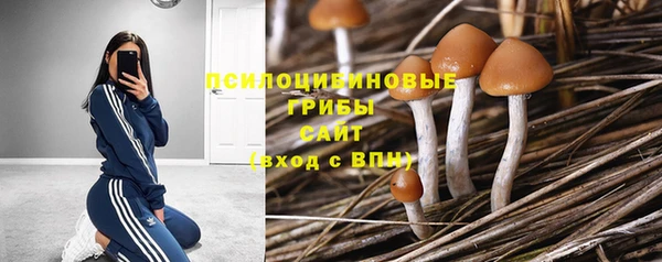МДМА Воткинск
