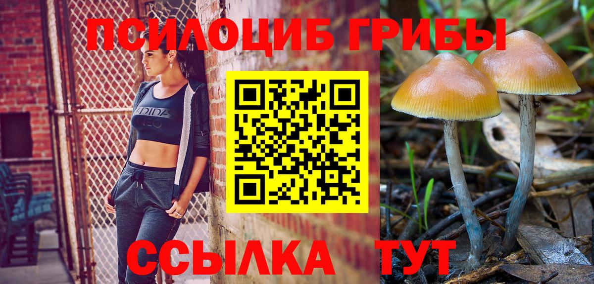 Галлюциногенные грибы Cubensis  Галлюциногенные грибы мухоморы  Вход с VPN  Азов 